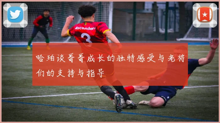 哈珀谈哥哥成长的独特感受与老将们的支持与指导